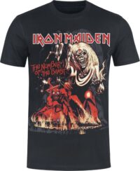 Ironmaiden - The Number of the Beast Graphic